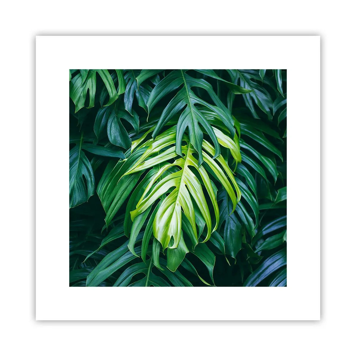 Plagát - Ponoriť sa do sviežosti - 30x30 cm