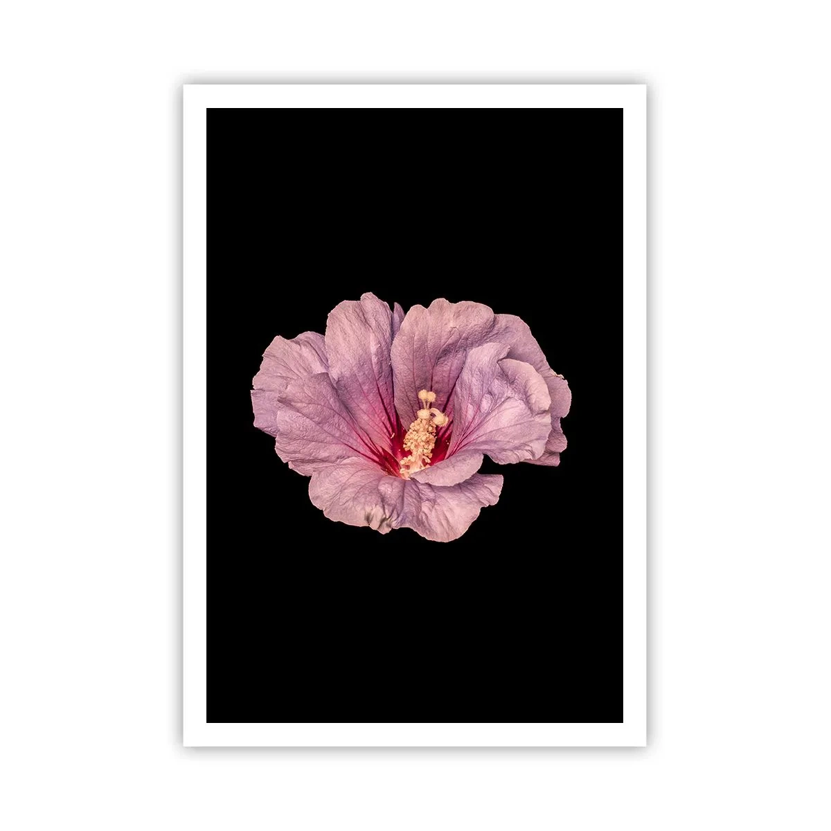 Plagát - Priamo do srdca - 70x100 cm