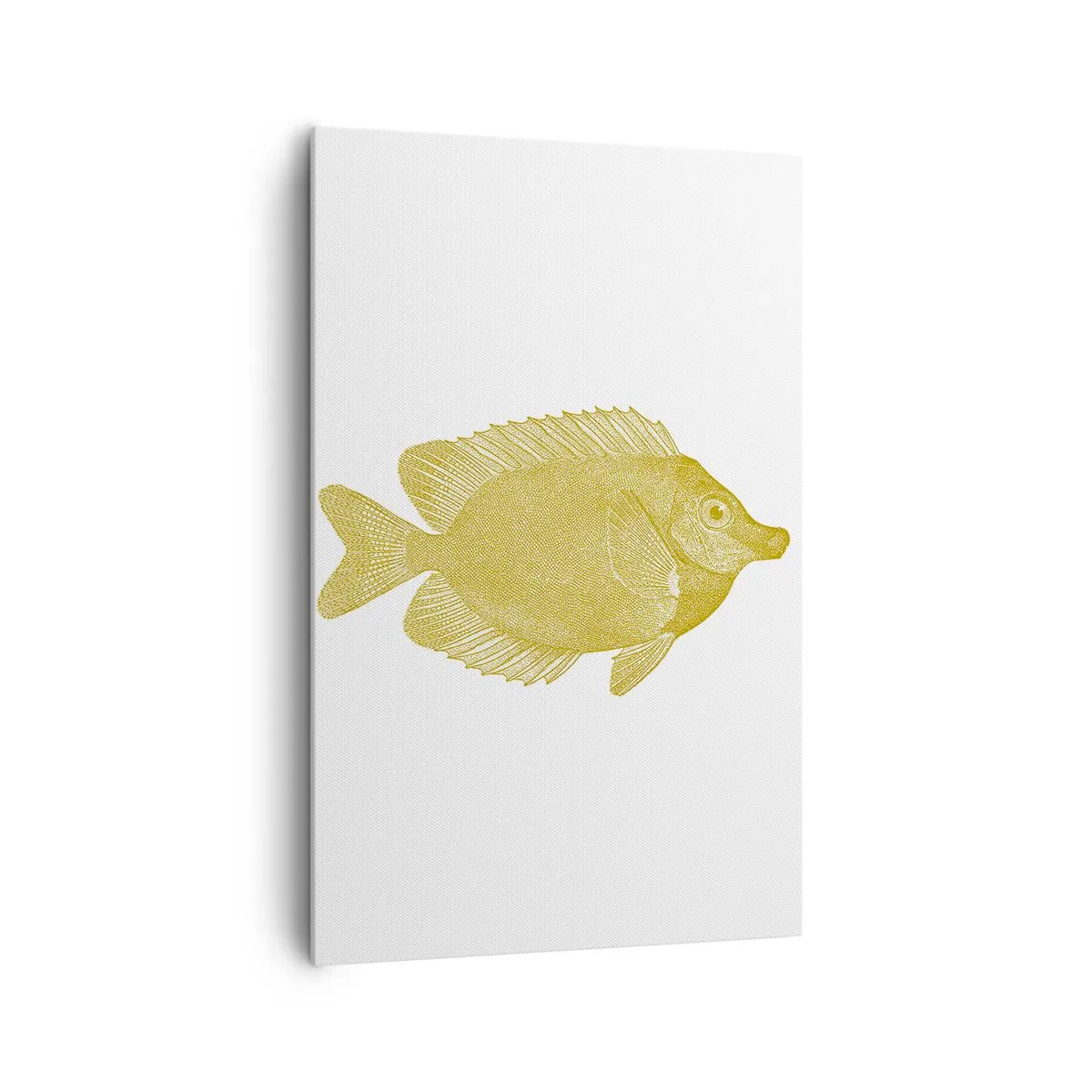 Obraz na plátne - Proste ryba - 80x120 cm