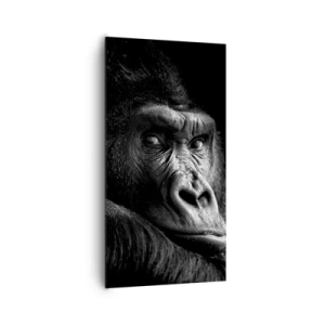Obraz na plátne - Na čo sa tak pozeráš? - 65x120 cm