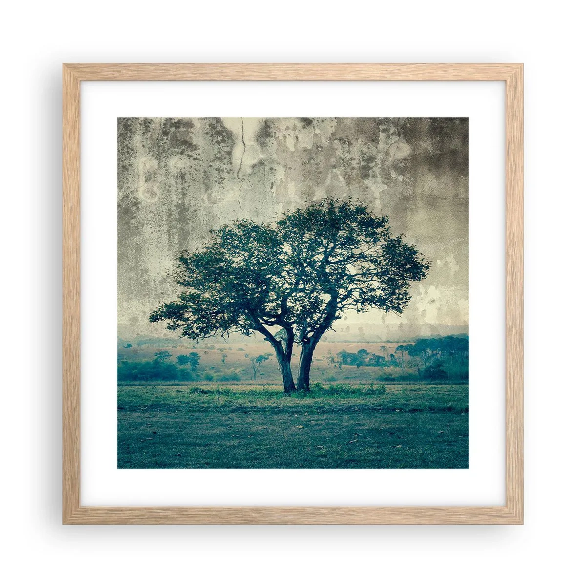 Plagát v ráme zo svetlého duba - Jabloň na modrom poli? - 40x40 cm