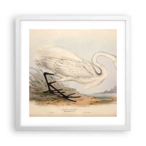 Plagát v bielom ráme - Pani rákosín - 40x40 cm