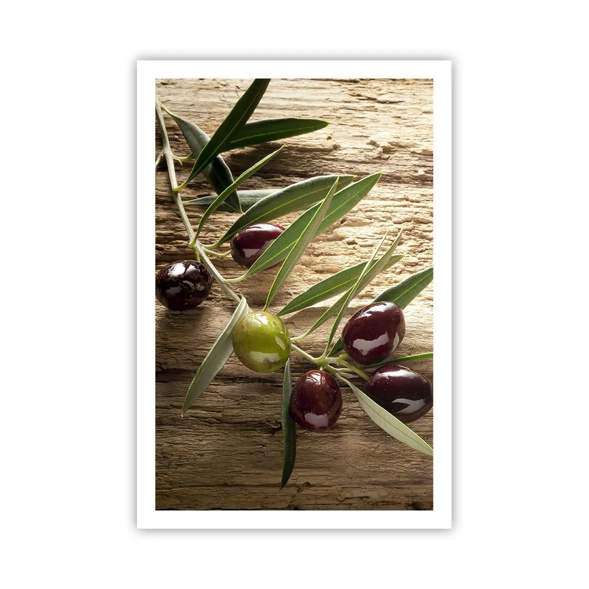 Plagát - Priamo od prírody - 61x91 cm