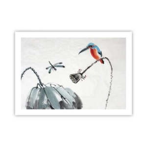 Plagát - Život lúky - 70x50 cm