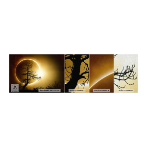 Vzorka fototapety Premium Canvas - Úplné zatmenie - Eclipse, Strom, Krajina - 100x30 cm