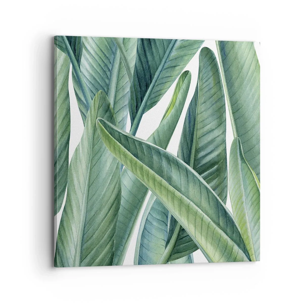 Obraz na plátne - Proste zelená - 70x70 cm