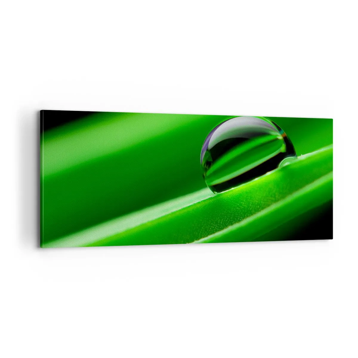 Obraz na plátne - Život zblízka - 100x40 cm