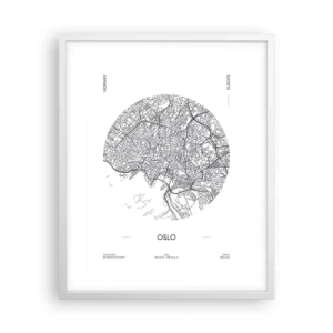 Plagát v bielom ráme - Anatómia Osla - 40x50 cm