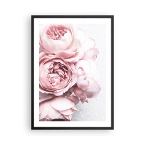 Plagát v čiernom ráme - detailný záber na jemné ružové kvety pivonky - 50x70cm - Pre romantikov - Moderná nástenná dekorácia do obývacej izby a spálne ARTTOR