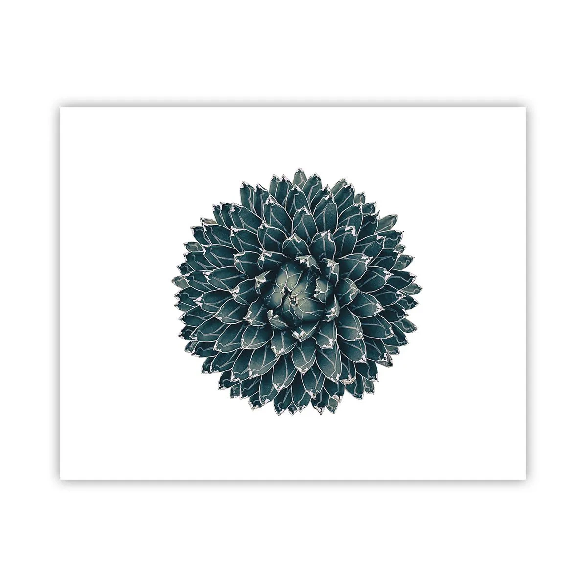 Plagát - Hviezda púšte - 50x40 cm