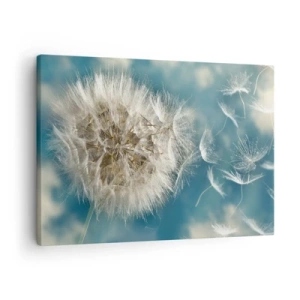 Obraz na plátne - Zvädnutá púpava na pozadí modrej oblohy - 70x50cm - Dych anjela - Moderná nástenná dekorácia do obývacej izby a spálne ARTTOR