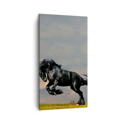 Obraz na plátne - Krásny a slobodný - 45x80 cm