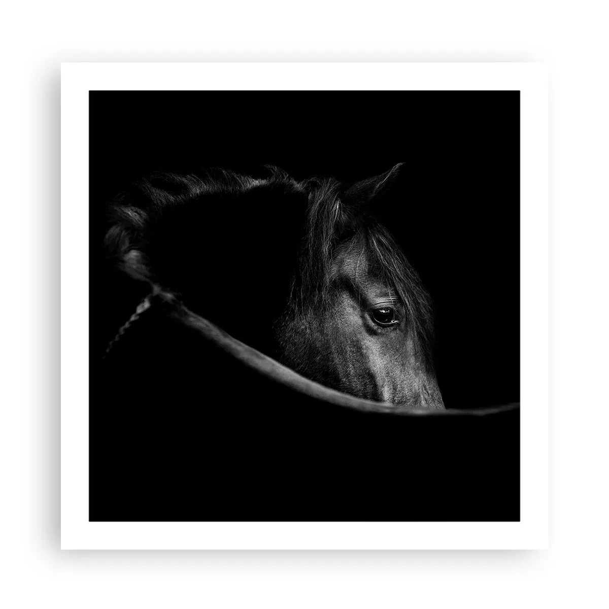 Plagát - Čierny knieža - 60x60 cm