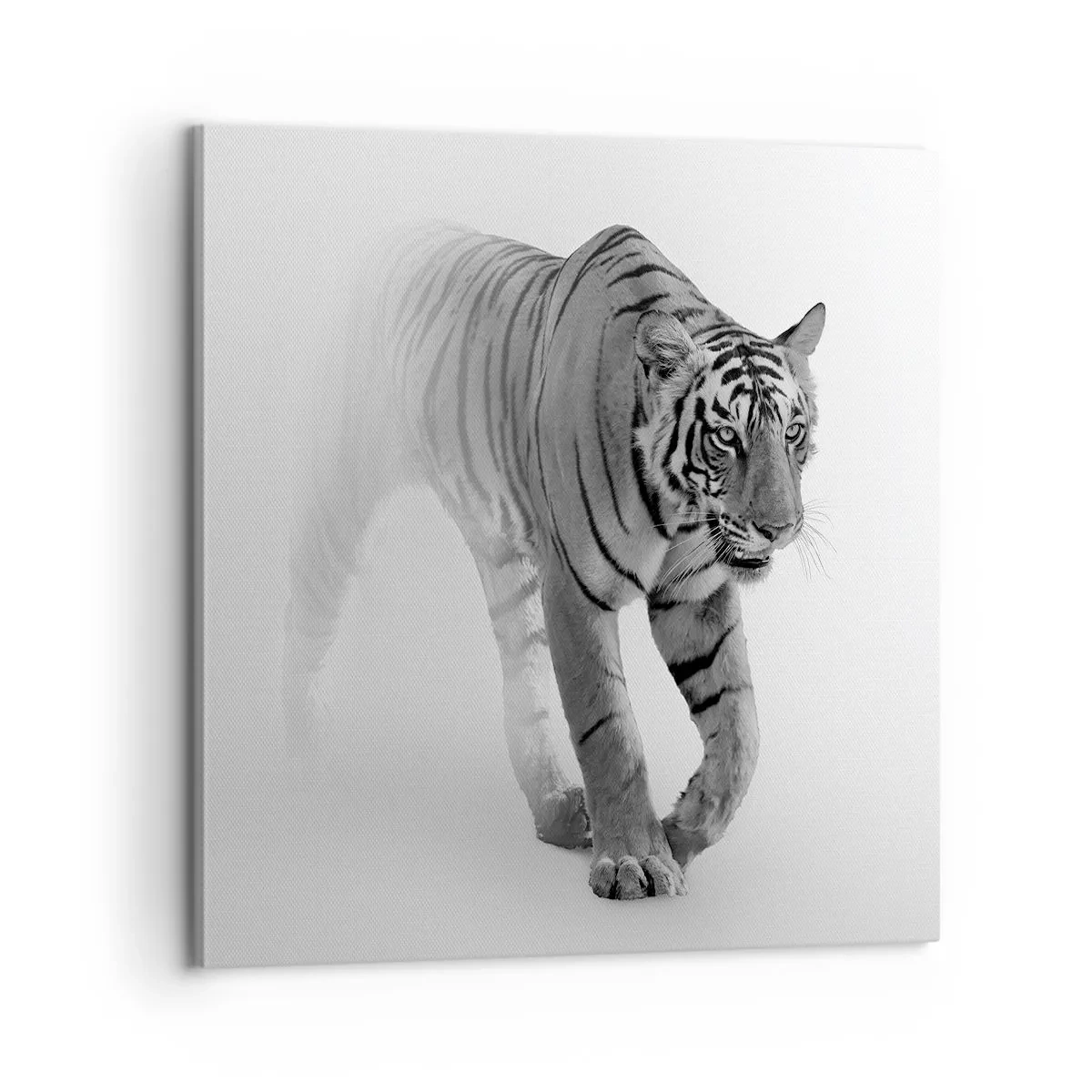 Obraz na plátne - Prikrčený v hmle - 60x60 cm