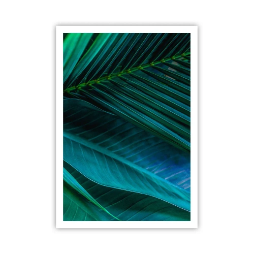 Plagát - Anatómia zelene - 70x100 cm
