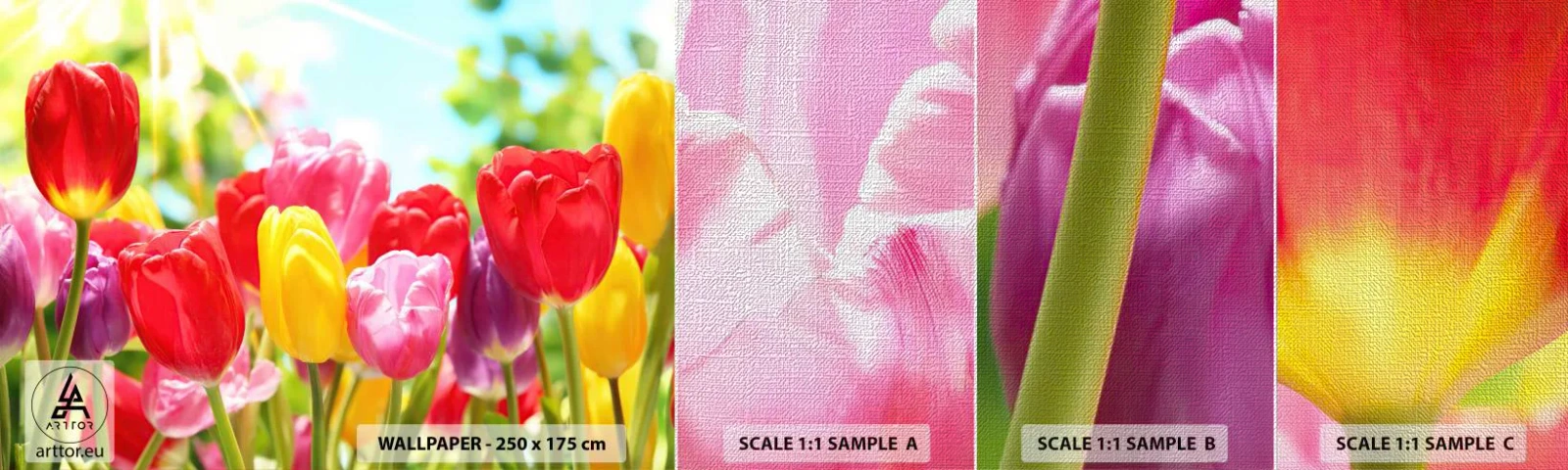 Vzorka fototapety Premium Canvas - To sme my, farby mája! - Kvety, Tulipány, Záhrada - 100x30 cm