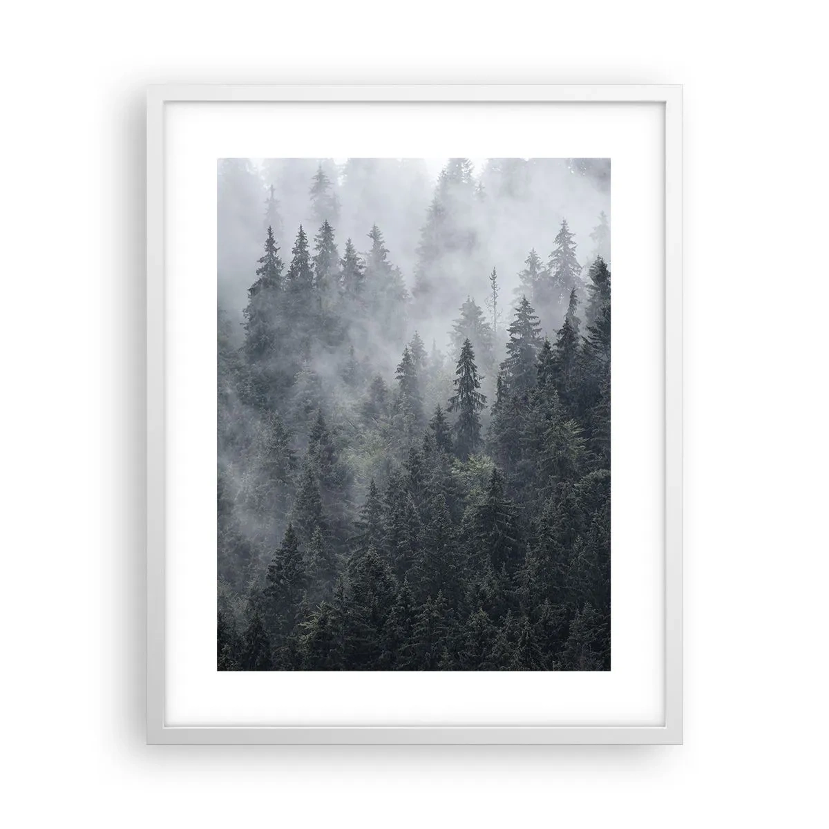 Plagát v bielom ráme - Lesné svitania - 40x50 cm