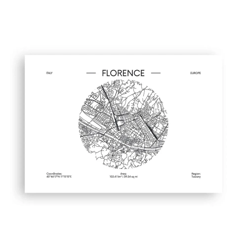 Plagát - Anatómia Florencie - 100x70 cm