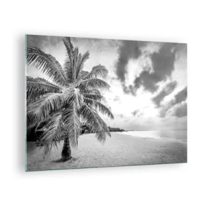 Obraz na skle - Čiernobiela palma na prázdnej pláži so zamračenou oblohou. - 70x50cm - Keď túžiš po samote…. - Moderná nástenná dekorácia do obývacej izby a spálne ARTTOR