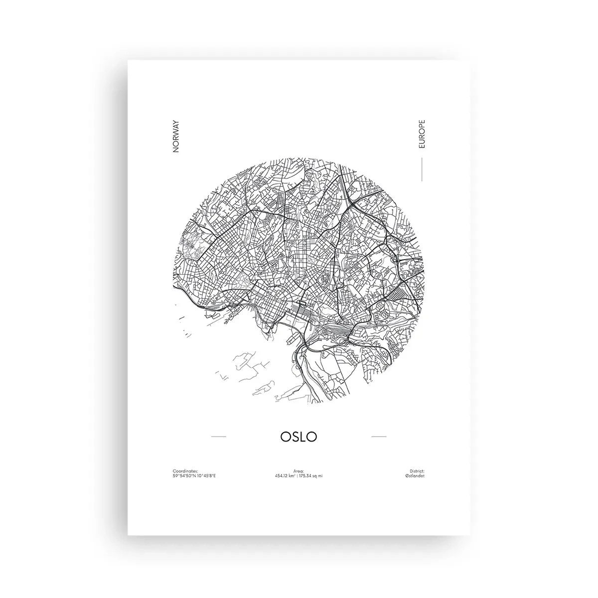 Plagát - Anatómia Osla - 50x70 cm
