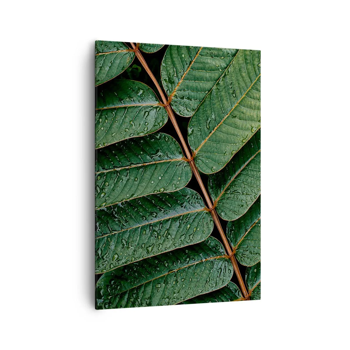 Obraz na plátne - V zelenom rytme - 70x100 cm