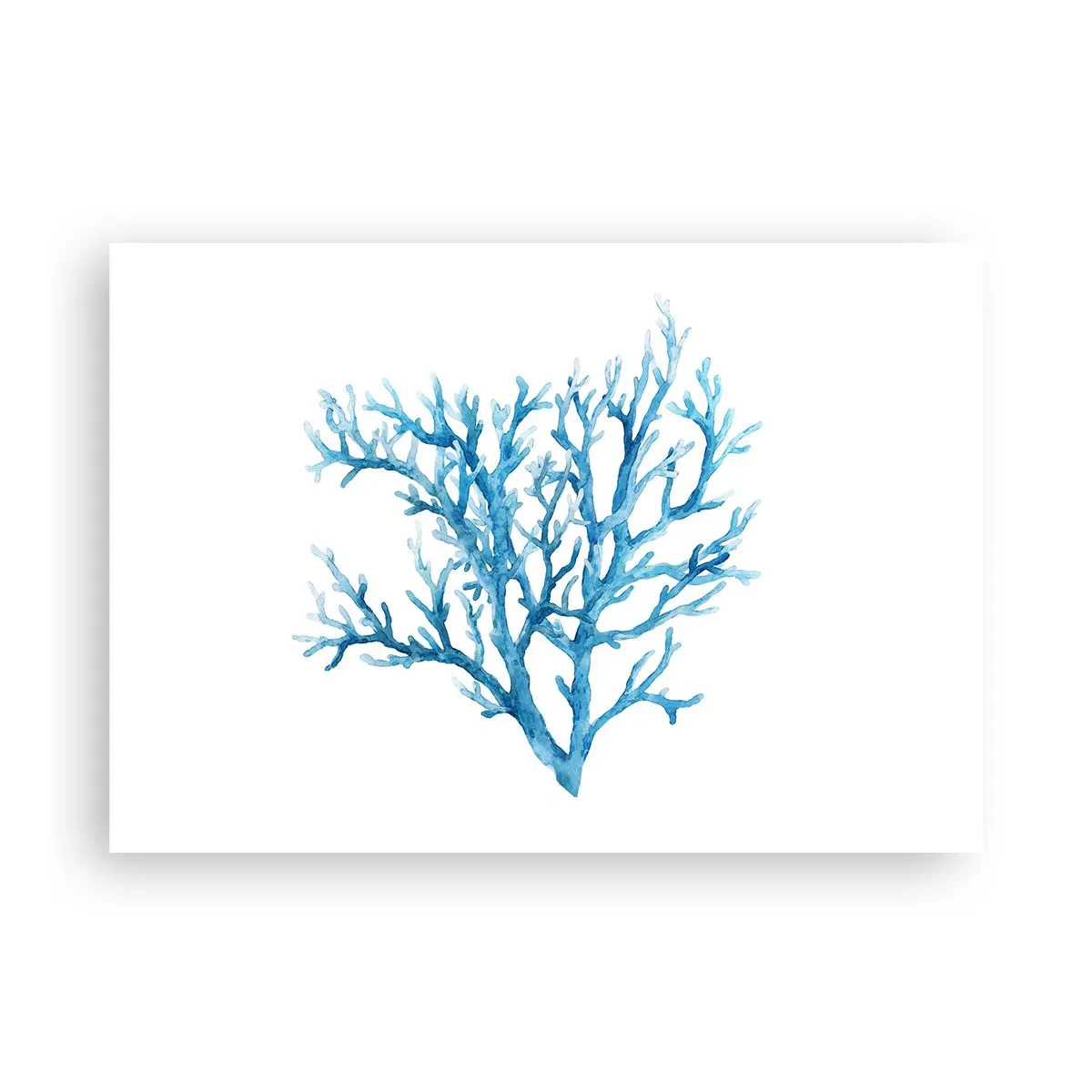 Plagát - Morský filigrán - 100x70 cm