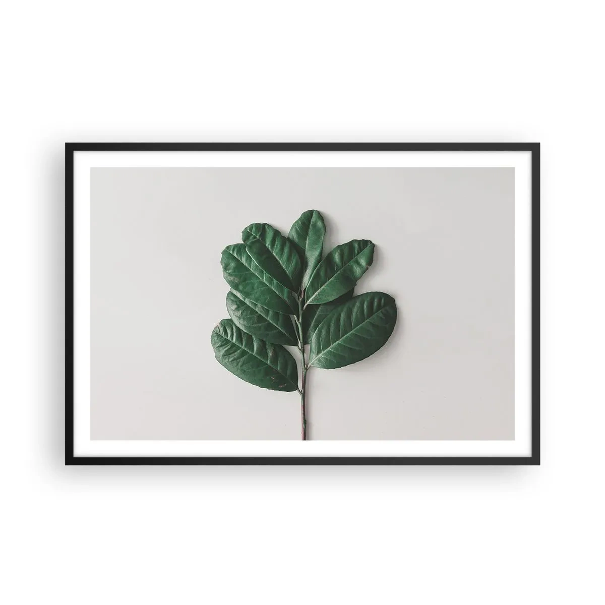 Plagát v čiernom ráme - Kresba samotnej prírody - 91x61 cm