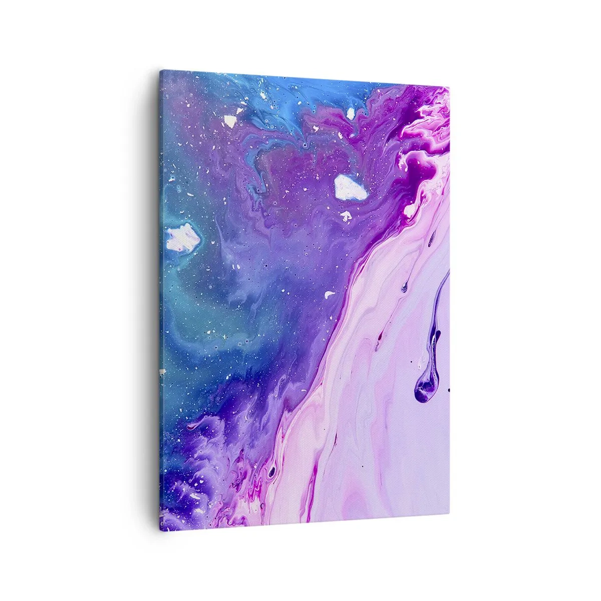Obraz na plátne - Yin a yang - 50x70 cm