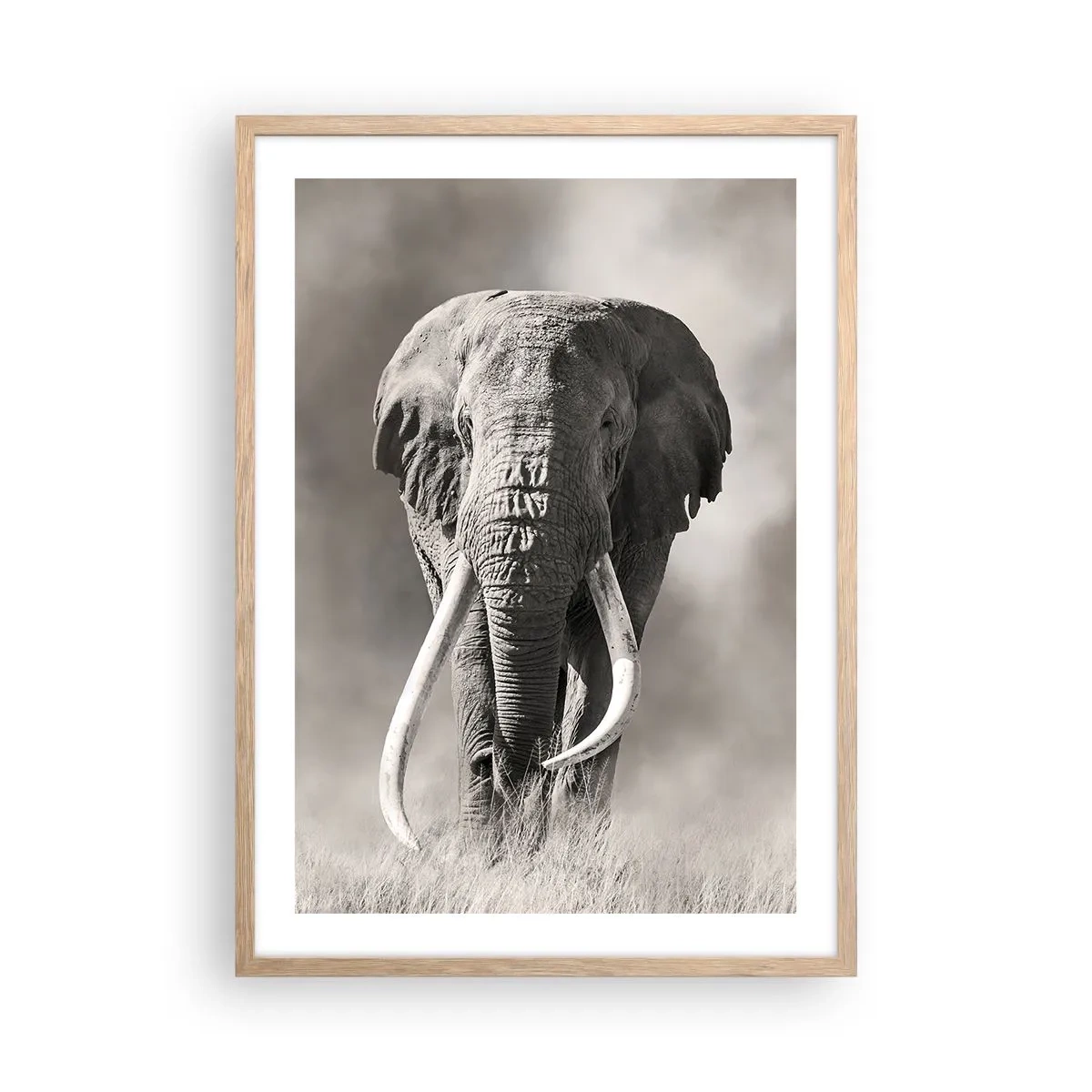 Plagát v ráme zo svetlého duba - Africký patriarcha - 50x70 cm