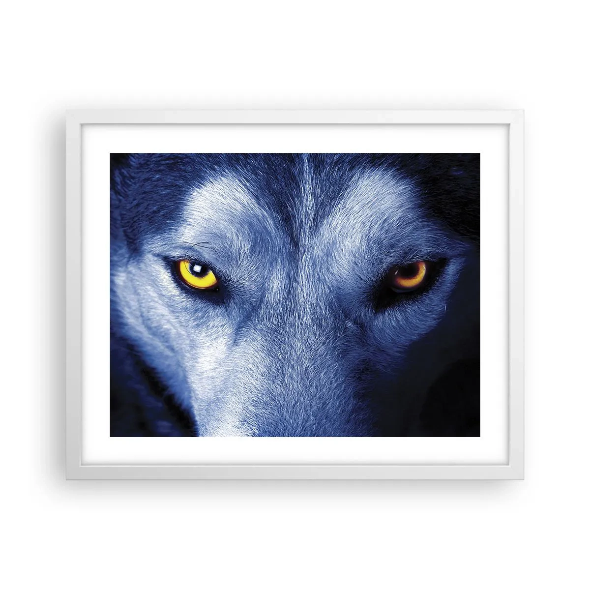 Plagát v bielom ráme - Fascinujúci pohľad - 50x40 cm