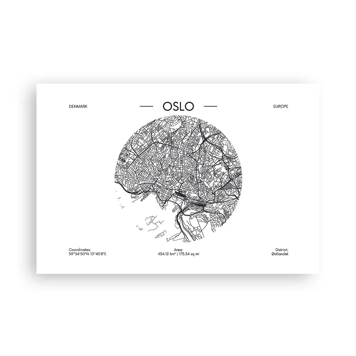 Plagát - Anatómia Osla - 91x61 cm