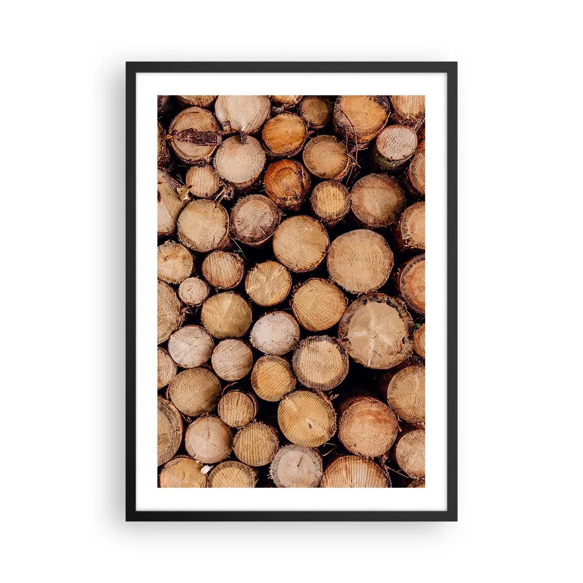 Plagát v čiernom ráme - Prírodné rezané kmene stromov v umeleckom aranžmáne - 50x70cm - Nový začiatok - Moderná nástenná dekorácia do obývacej izby a spálne ARTTOR