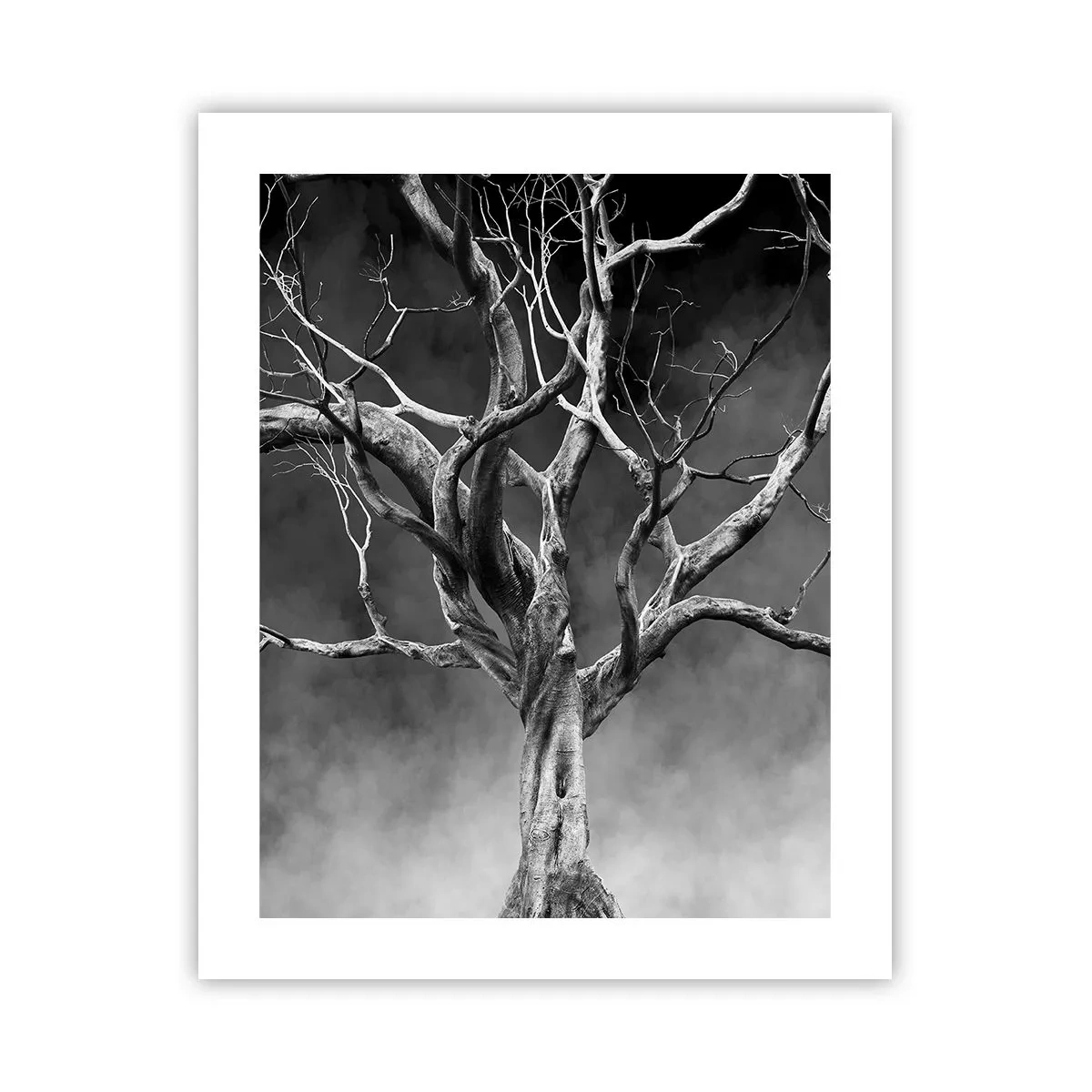 Plagát - Pôvodné a sväté - 40x50 cm