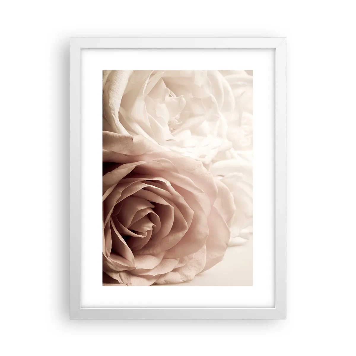 Plagát v bielom ráme - V srdci ruže - 30x40 cm