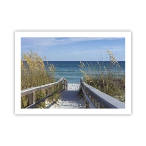 Plagát - Na slnku, vo vetre - 70x50 cm