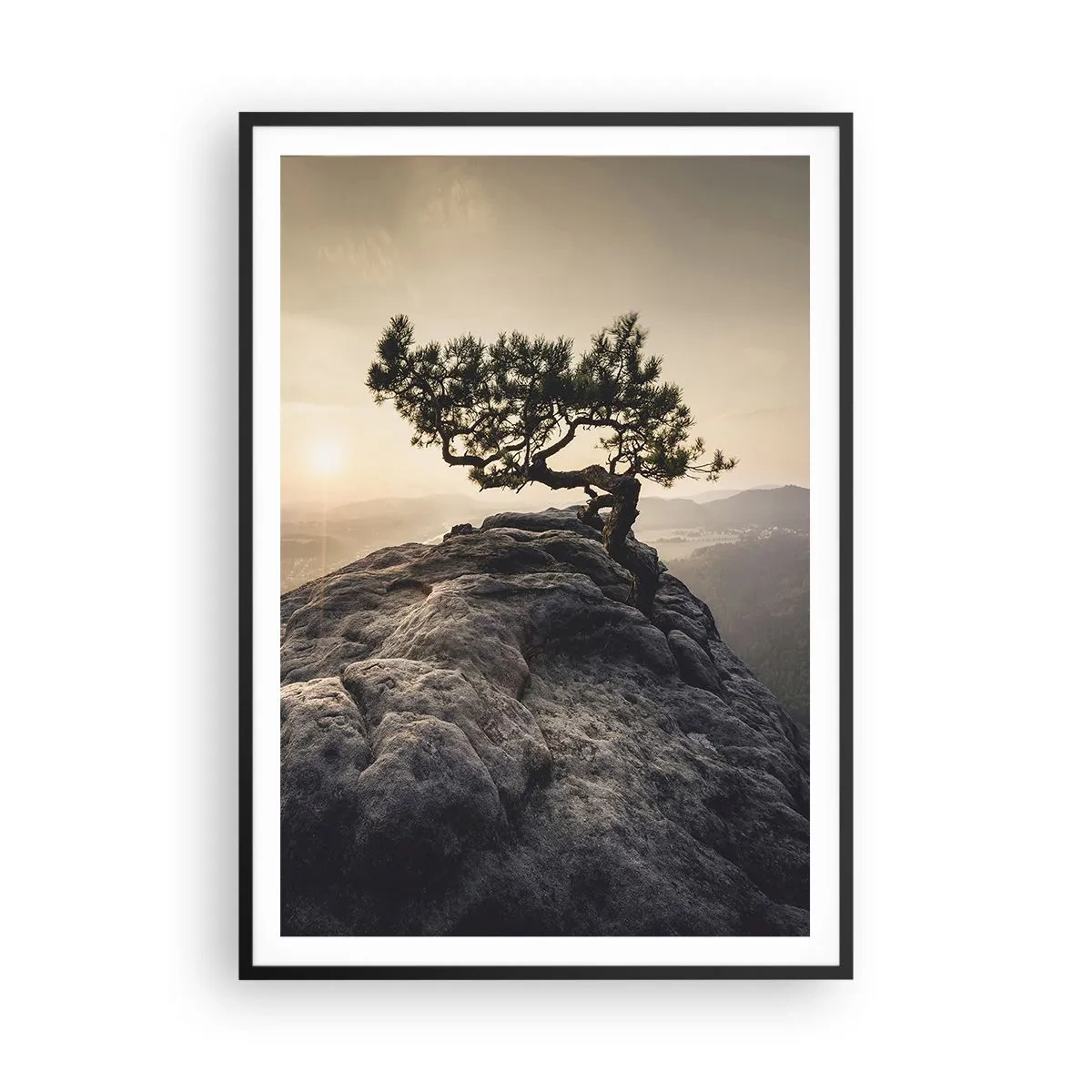 Plagát v čiernom ráme - Život vždy víťazí - 70x100 cm