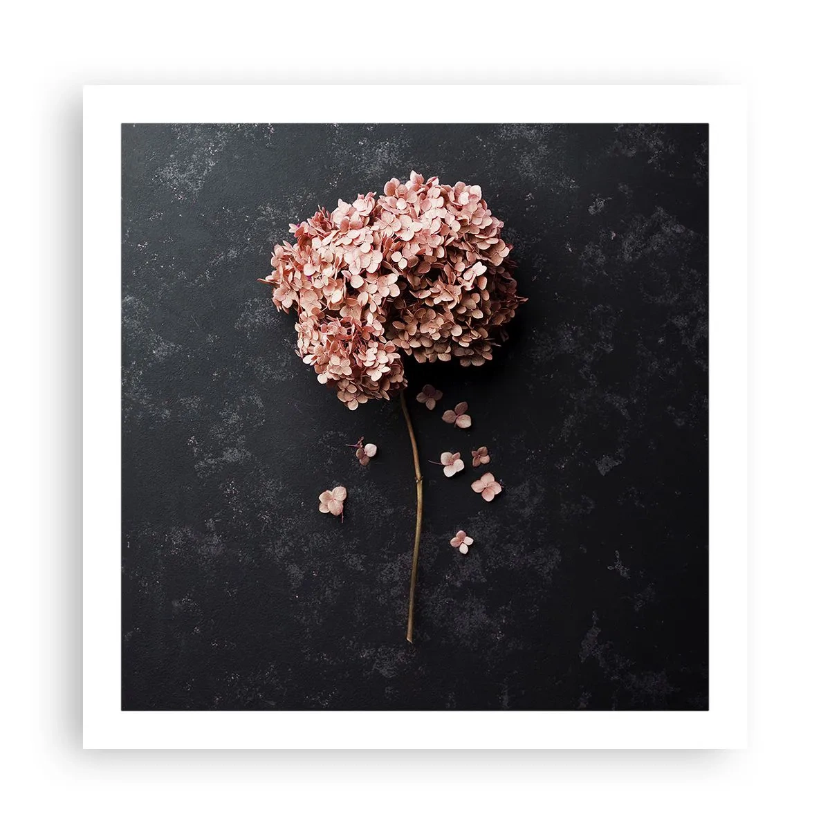 Plagát - Skutočne romantické znamenie - 60x60 cm