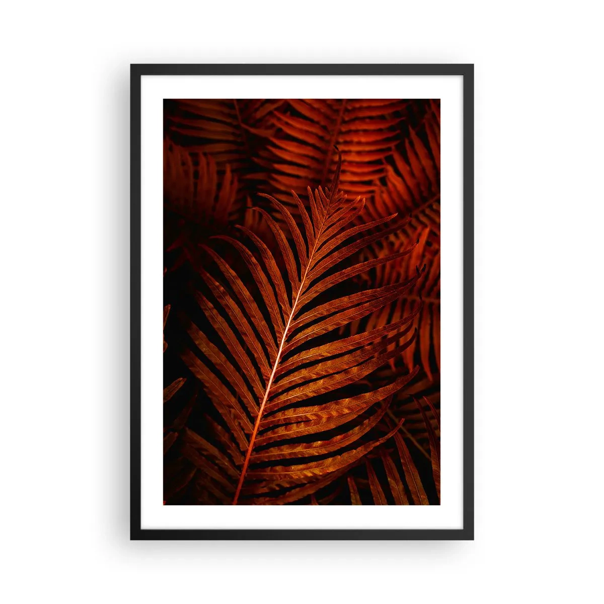Plagát v čiernom ráme - Červené palmové listy v umeleckom osvetlení - 50x70cm - Žiar života - Moderná nástenná dekorácia do obývacej izby a spálne ARTTOR
