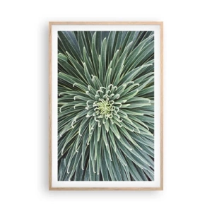 Plagát v ráme zo svetlého duba - Zrodenie hviezdy - 61x91 cm