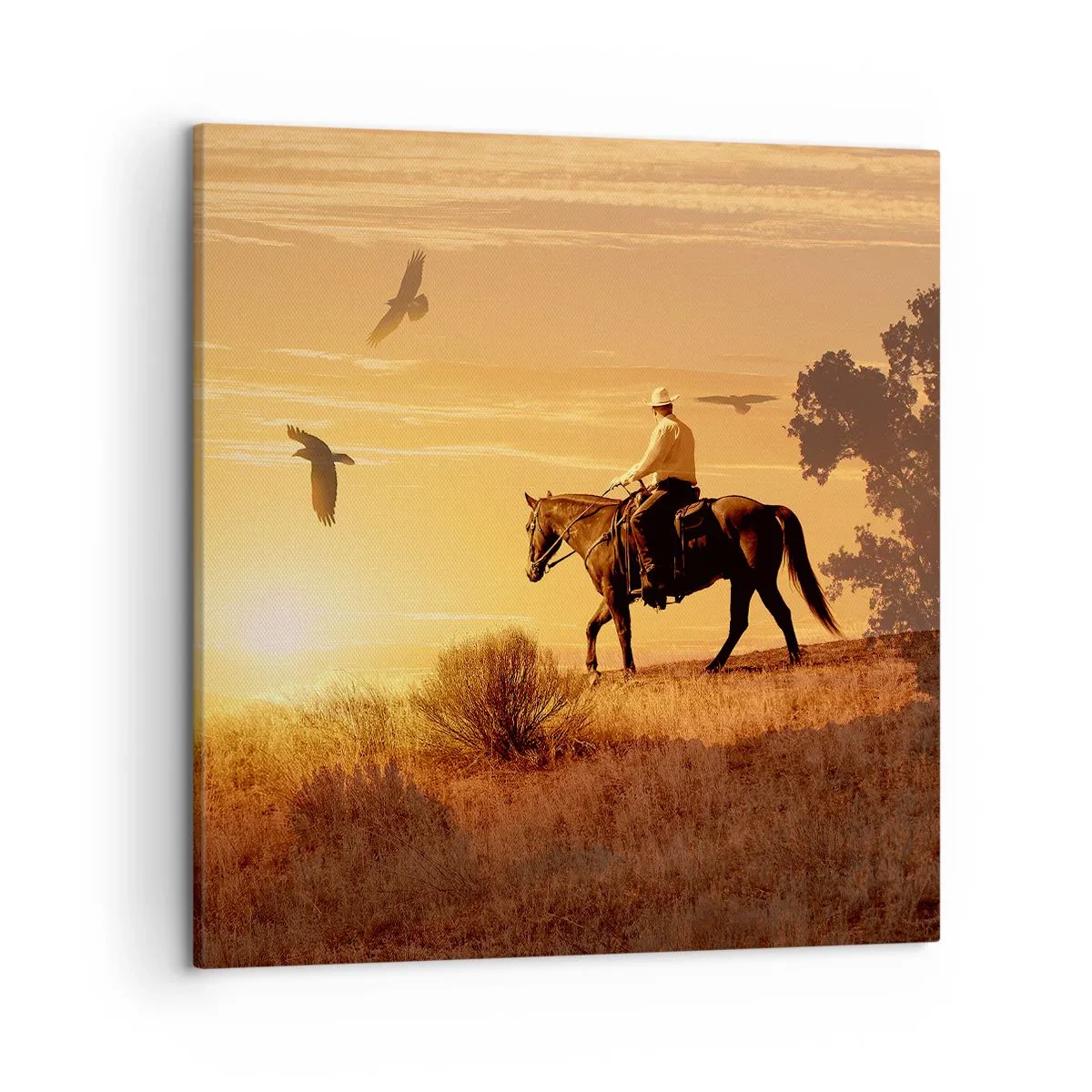 Obraz na plátne - Sám cez prériu - 50x50 cm