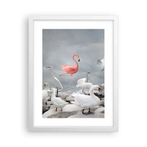 Plagát v bielom ráme - Kde som sa tu vzal? - 30x40 cm