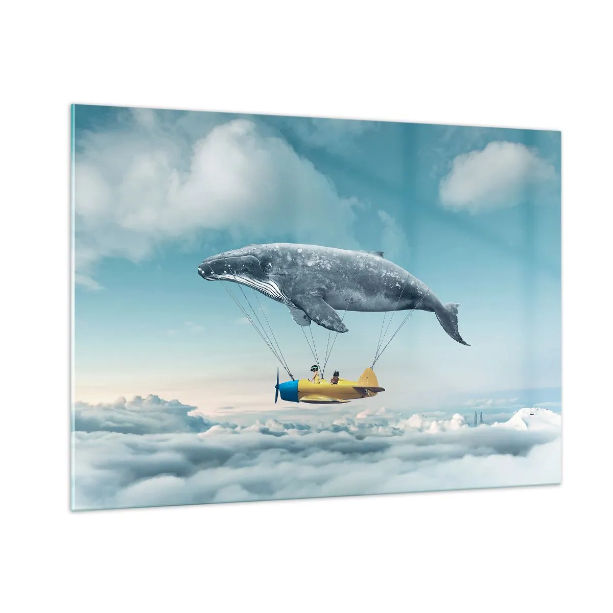 Obraz na skle - Prečo by nie? - 100x70 cm