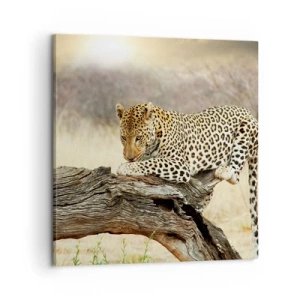 Obraz na plátne - Chodím vlastnými cestami - 60x60 cm