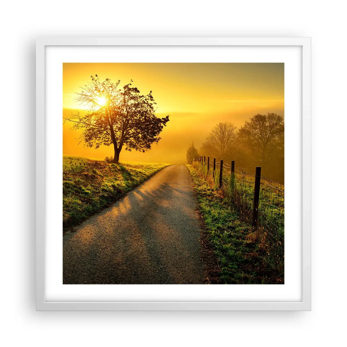 Plagát v bielom ráme - Medové popoludnie - 50x50 cm