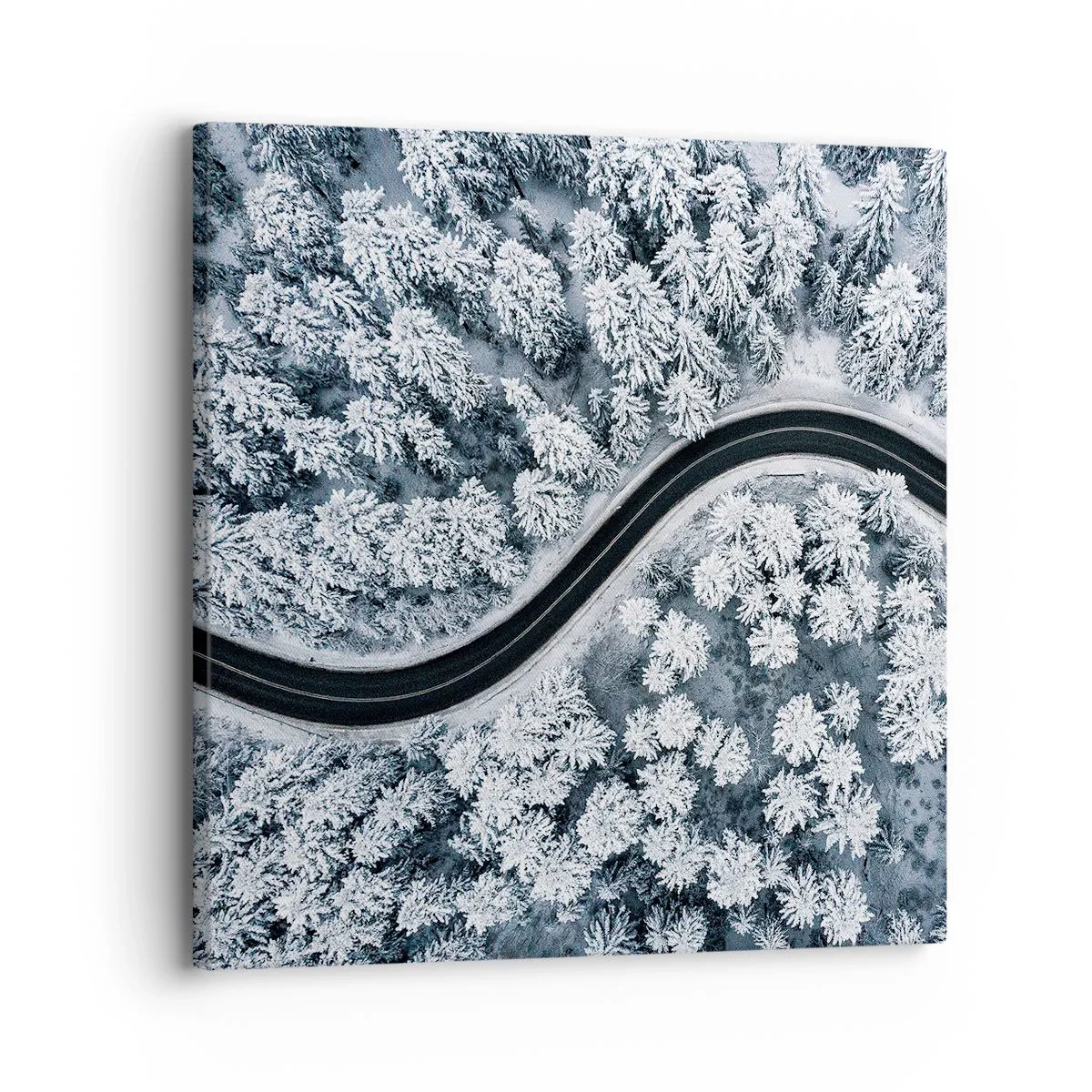Obraz na plátne - Zimným lesom - 30x30 cm