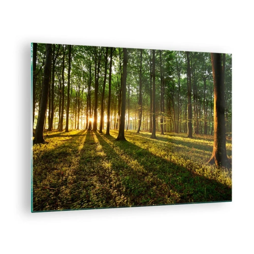 Obraz na skle - Lesná čistinka osvetlená lúčmi vychádzajúceho slnka - 70x50cm - Fotografie všetkých jarí - Moderná nástenná dekorácia do obývacej izby a spálne ARTTOR