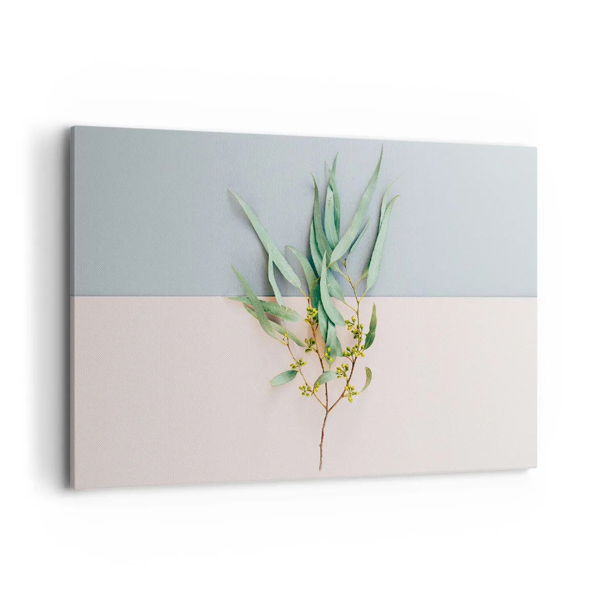 Obraz na plátne - Pastelová jemnosť - 120x80 cm