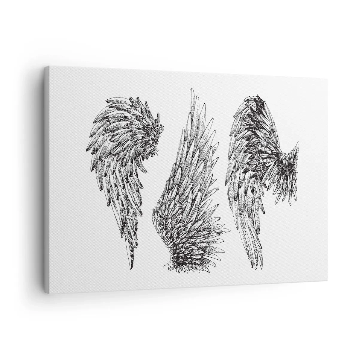 Obraz na plátne - Tri čiernobiele náčrty krídel v minimalistickom štýle. - 70x50cm - Aj ty sa môžeš stať anjelom - Moderná nástenná dekorácia do obývacej izby a spálne ARTTOR