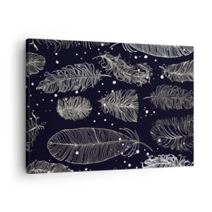 Obraz na plátne - Jemné biele pierka na tmavomodrom pozadí - 70x50cm - Čipka s perím - Moderná nástenná dekorácia do obývacej izby a spálne ARTTOR