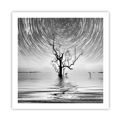 Plagát - Symfónia prírody - 60x60 cm